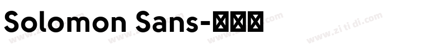 Solomon Sans字体转换